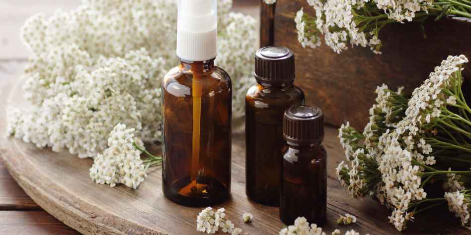 Yarrow herb essential oil or extract in amber bottles with milfoil blossoms on wooden rustic background, closeup, natural cosmetics and naturopathy concept