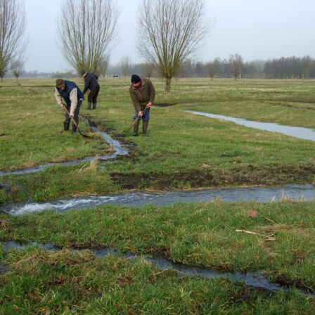 Witteren