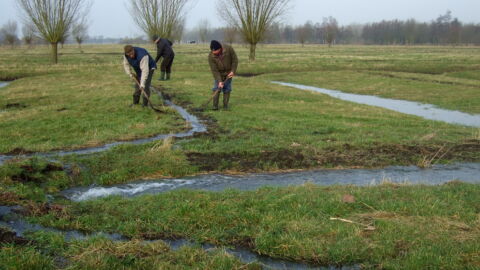 Witteren